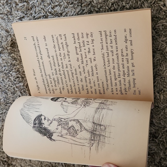 The Boxcar Children - The Mystery of the Hidden Beach - Picture 3 of 4